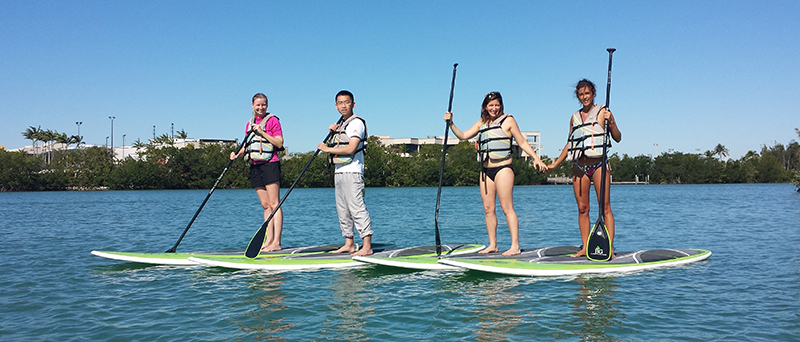 A group of people on paddle boards in the water.